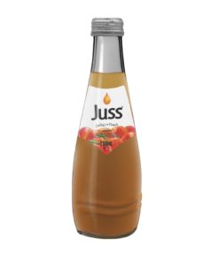 Juss şeftali nektarı cam şişe 200 ml Kayseri Gülpa Pazarlama